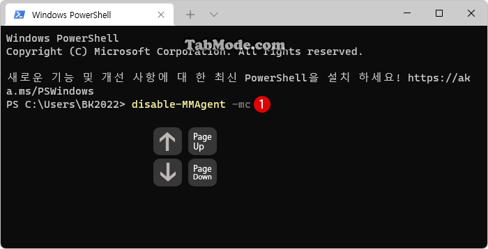 Windows PowerShell 및 명령 프롬프트에서 명령 기록(Command History) 보기