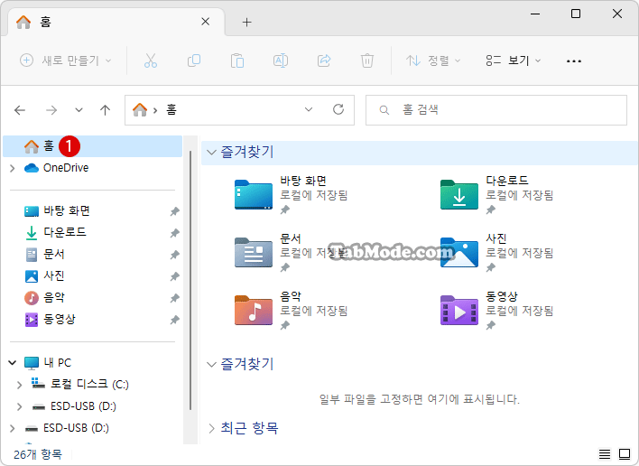 Windows 11 파일 탐색기의 탐색 창에서 홈 Home 삭제하기