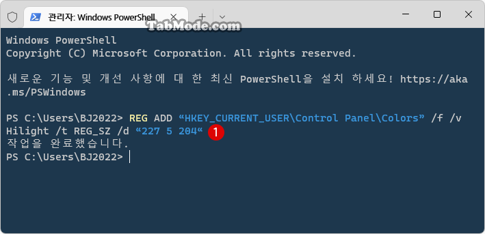 Windows 11에서 선택 영역의 반투명 색상 변경하기